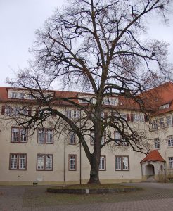Schloss Mittelbau