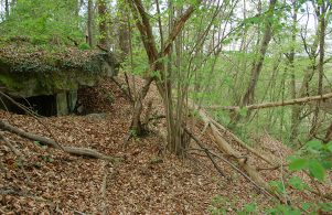 Bunker nördlich der Dauseck