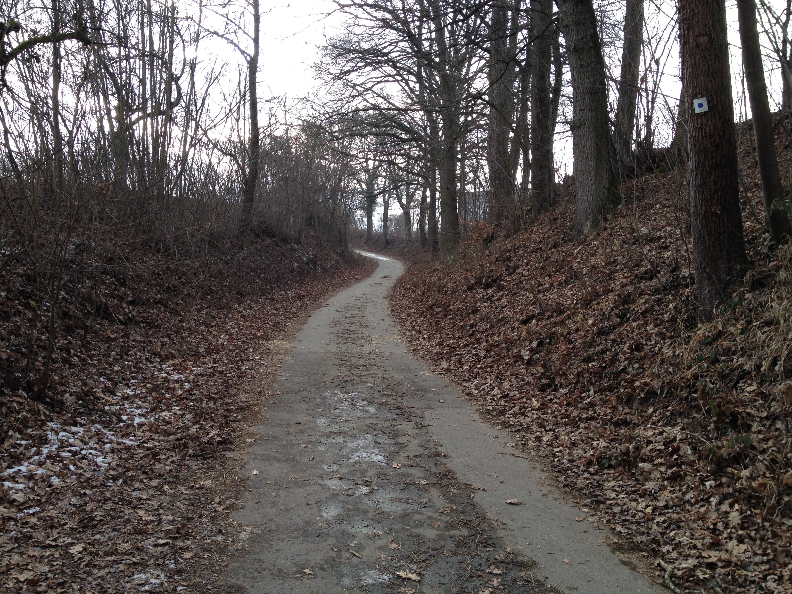 » Landschaft 124 Taler Weg • AGD Markgröningen