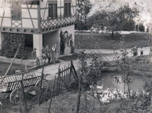 Untere Mühle um 1910