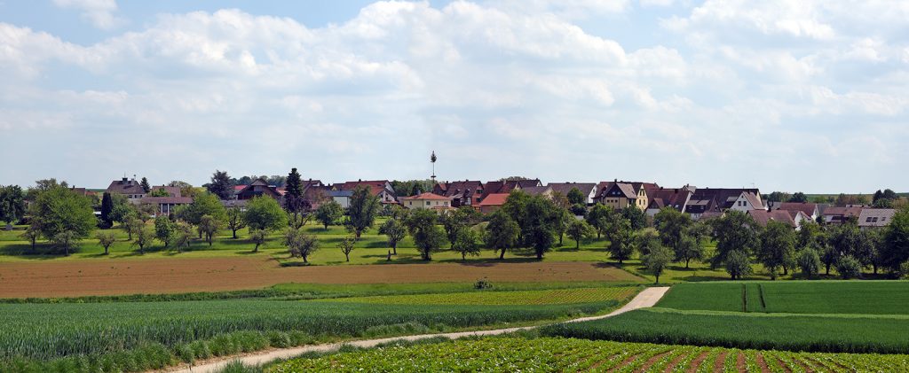 Harthof-Panorama