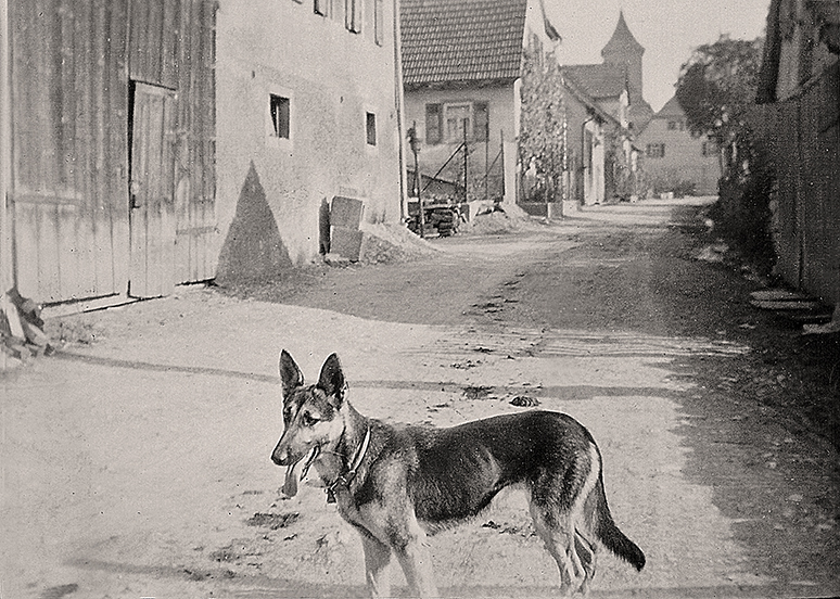 Glemsstraße um 1950