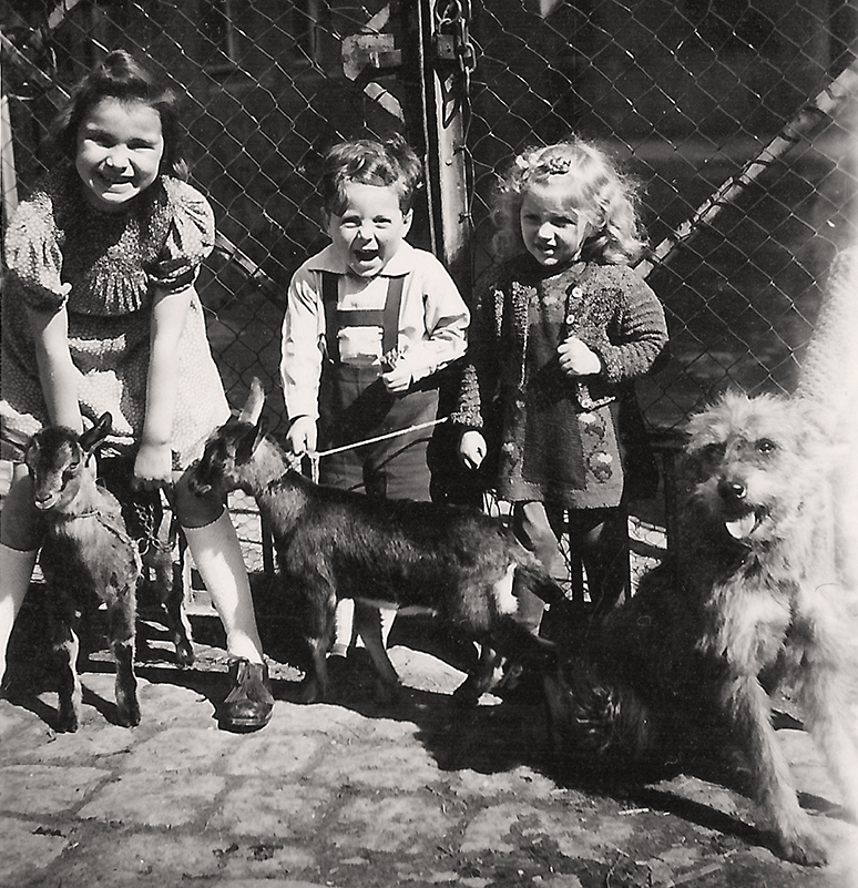 Kinder mit Tieren 1948