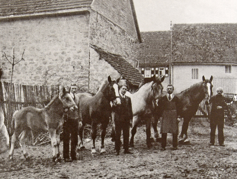 Pferdehandel