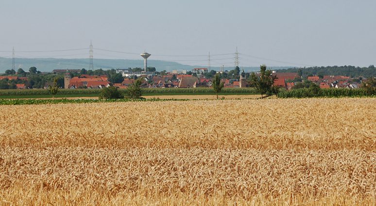 Schwieberdinger Weg