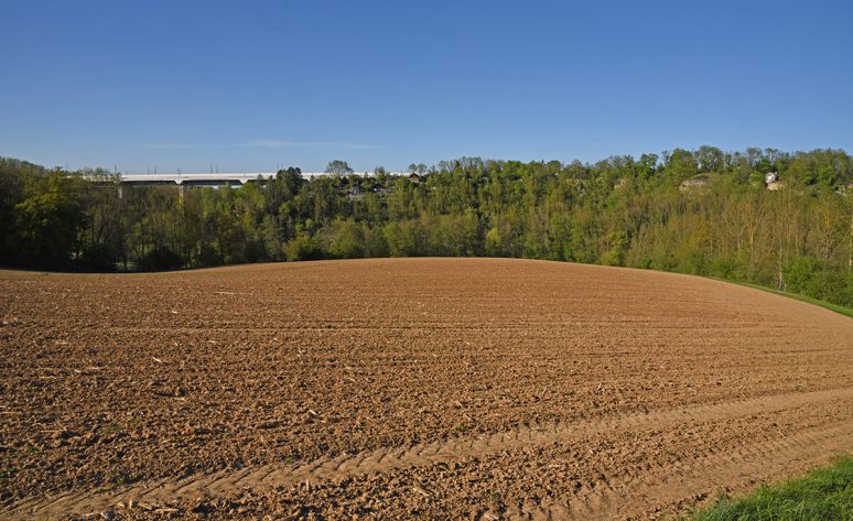 Cannstatt (Kaunstholzen)