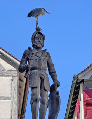 Vergrößern Reiher Marktbrunnen