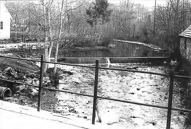 Wehr Bachmühle
